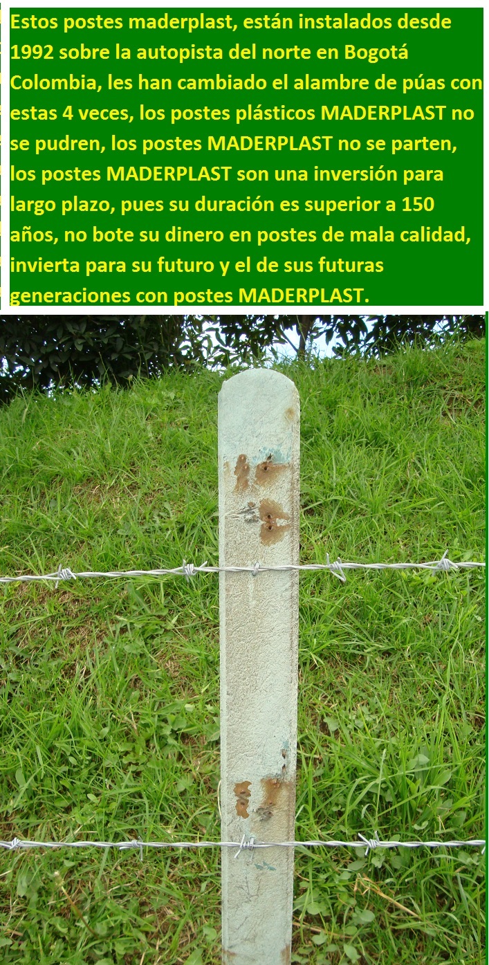 postes plásticos maderplast buena calidad postes púas duran mucho tiempo postes no pudren oxidan astillan postes no se parten rajan quiebran postes fuertes resistentes aislantes aisladores 010 postes plásticos maderplast buena calidad postes púas duran mucho tiempo postes no pudren oxidan astillan postes no se parten rajan quiebran postes fuertes resistentes aislantes aisladores 010 postes plásticos maderplast buena calidad postes púas duran mucho tiempo postes no pudren oxidan astillan postes no se parten rajan quiebran postes fuertes resistentes aislantes aisladores 010 postes plásticos maderplast buena calidad postes púas duran mucho tiempo postes no pudren oxidan astillan postes no se parten rajan quiebran postes fuertes resistentes aislantes aisladores 010